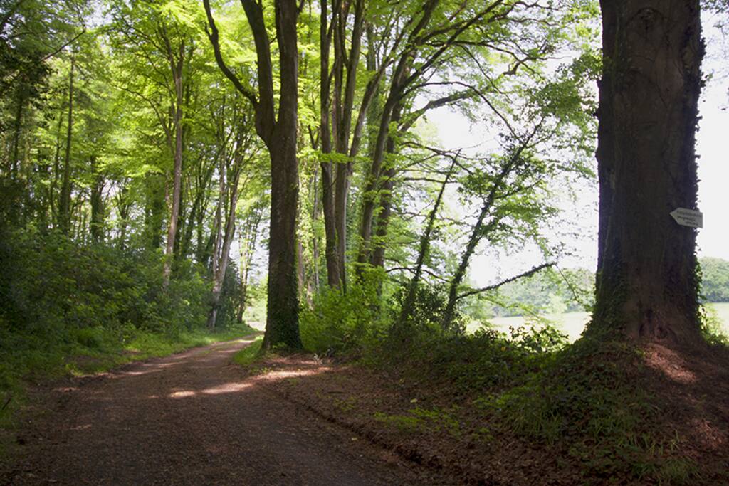 chemin d'entrée de la maison