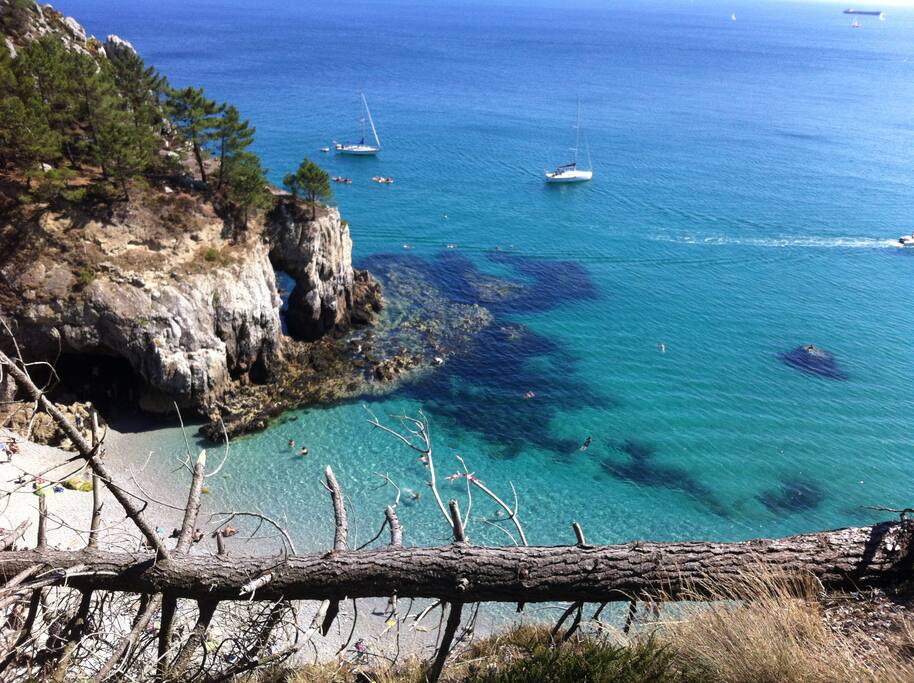 Paysage
