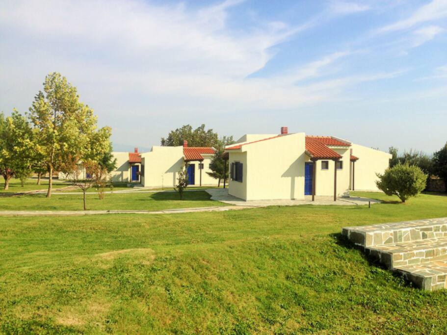 A Photo that shows the setting of the studios in the Estate