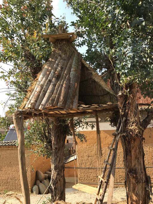 树屋treehouse