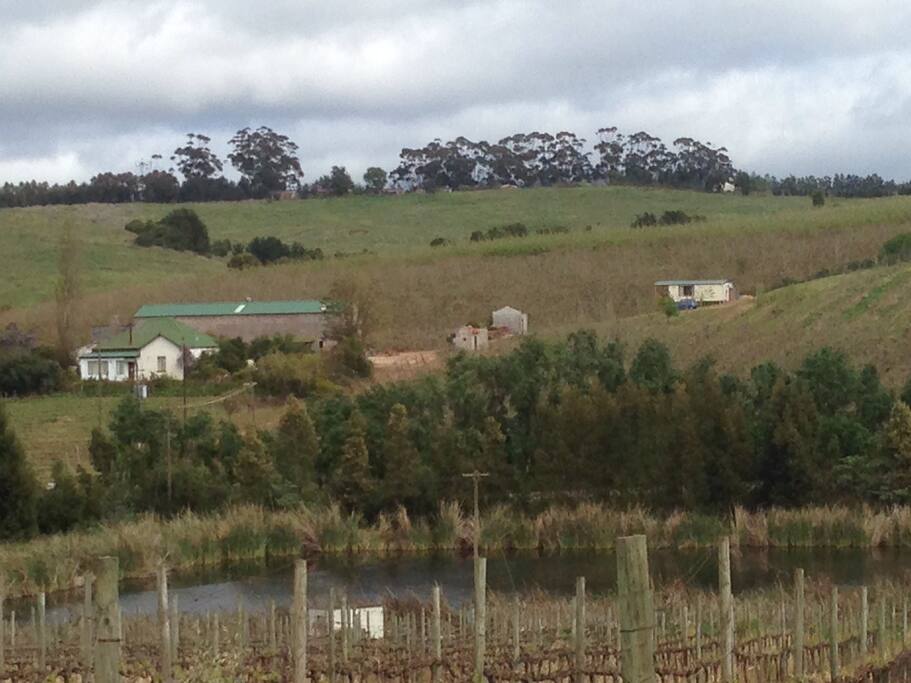 A view of the farm with the farm house in the foreground.