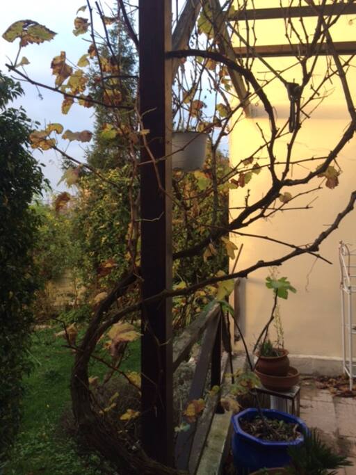 terrasse et pergola