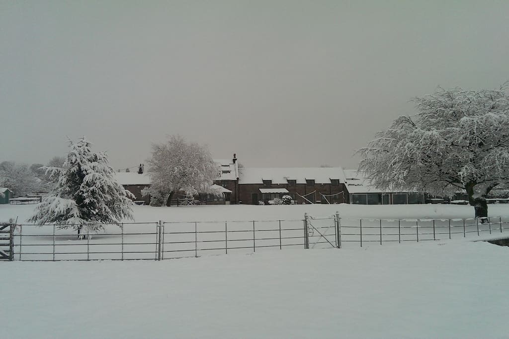 A winter scene