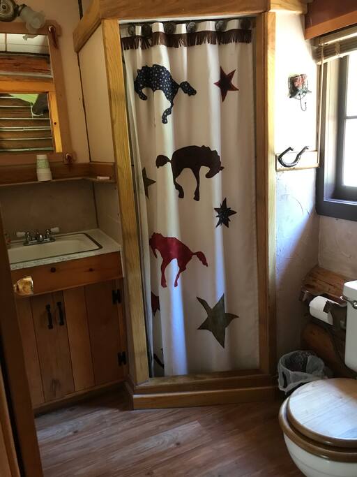 Bathroom in the Buckaroo