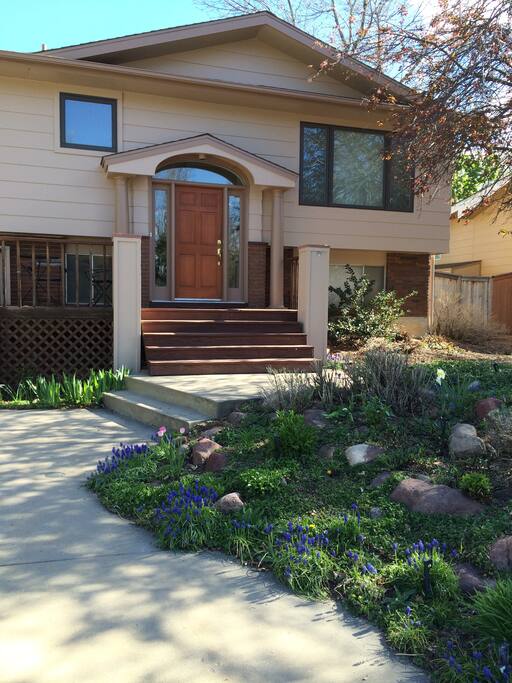 Spring front garden