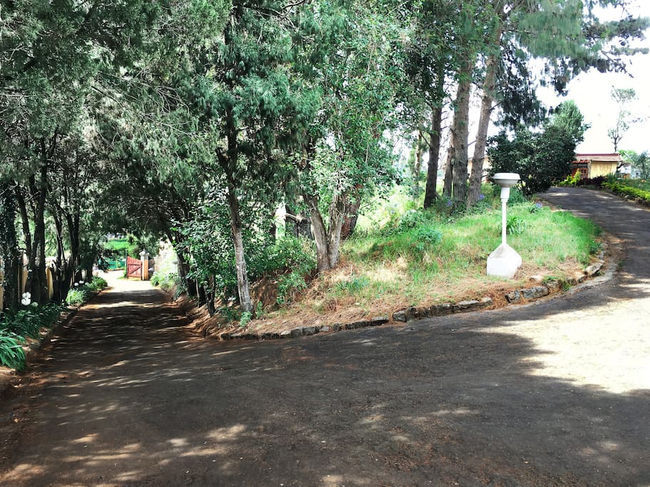 drive way 2