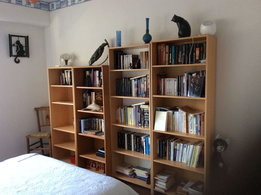une bibliothèque , dans la chambre,bien fournie ,si vous aimez lire