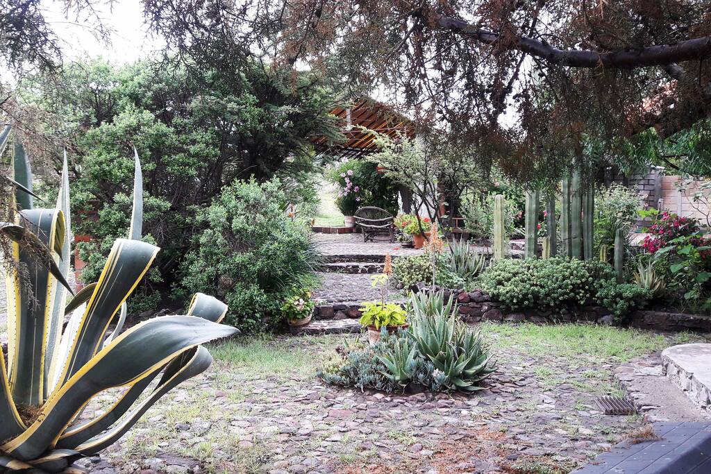 Disfruta de la belleza de lo sencillo y natural