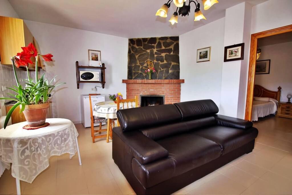 Salón con chimenea