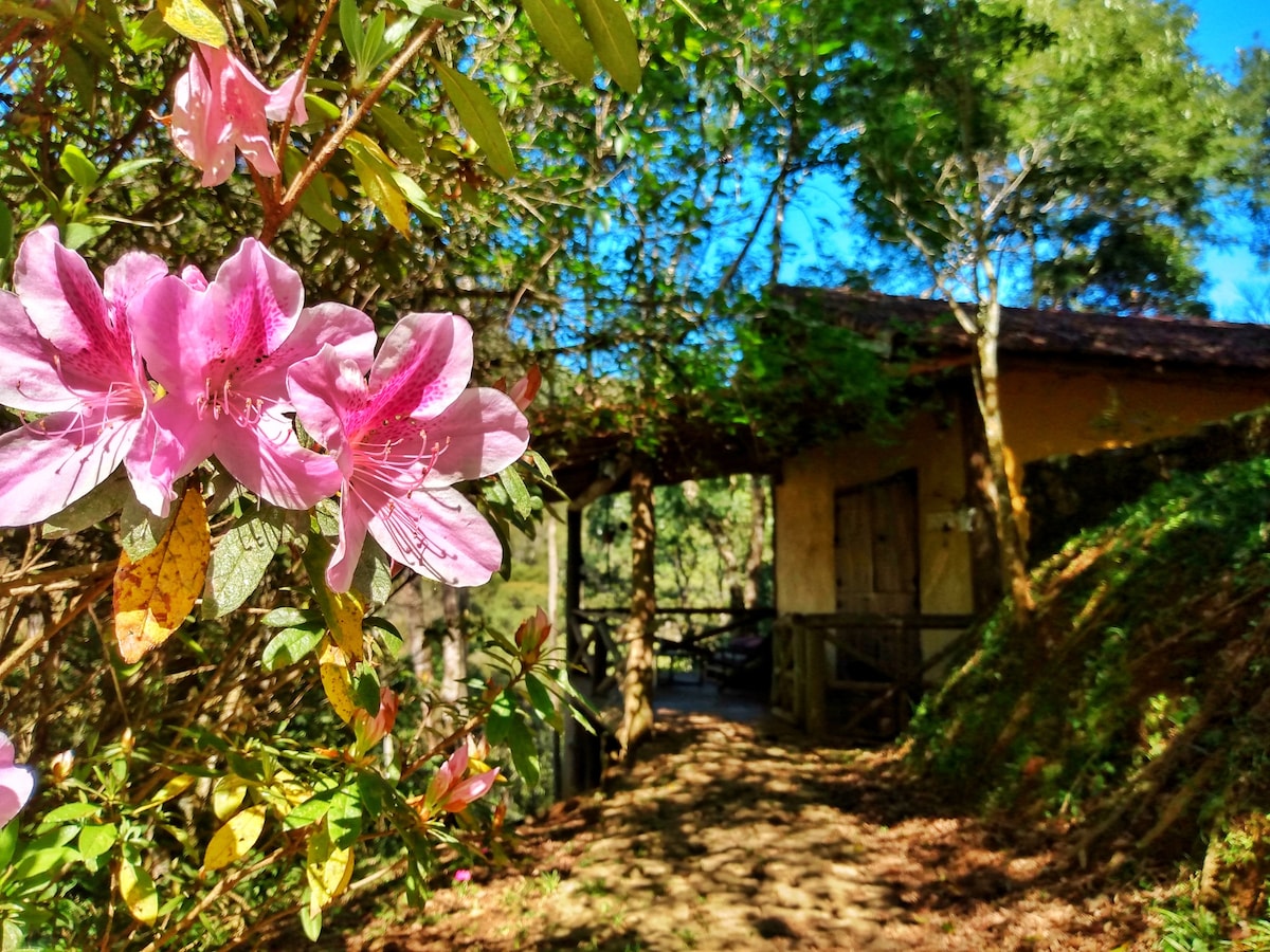 Delicate pink flowers frame the entrance to a rustic cabin nestled among lush greenery. Sunlight filters through the leaves, illuminating the path leading to the cabin, which features wooden doors and a natural surrounding, enhancing the tranquil ambiance of the area.