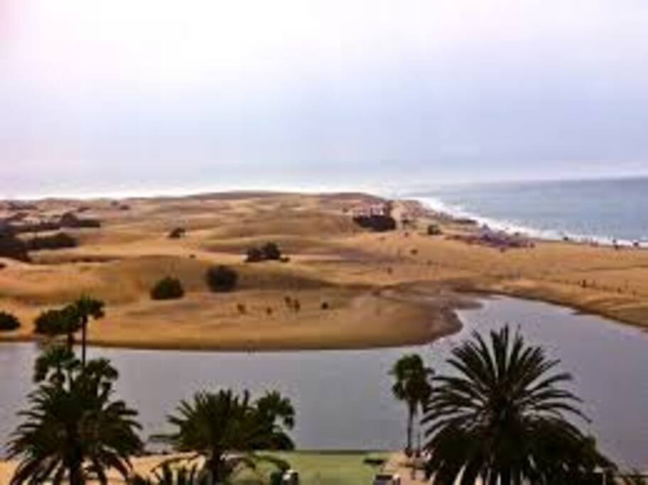 Charca de Maspalomas