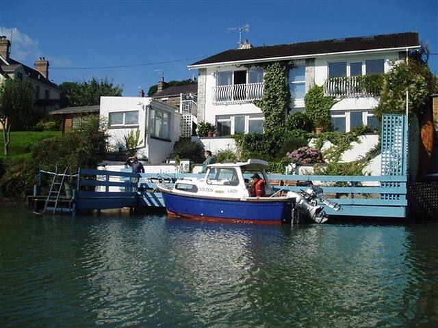 Lower Jon - Saint Dogs