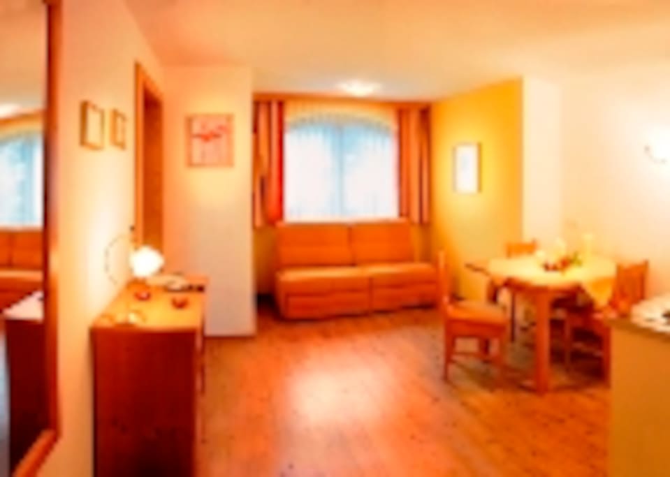 Wohn-Schlafzimmer