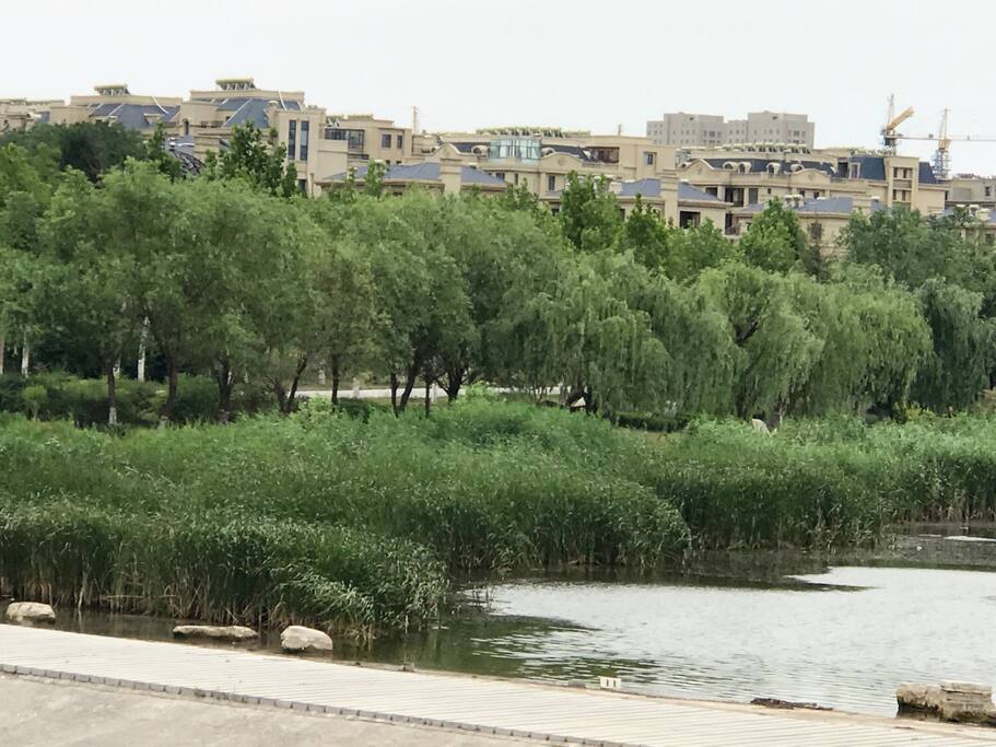 环境优美的白沙河畔