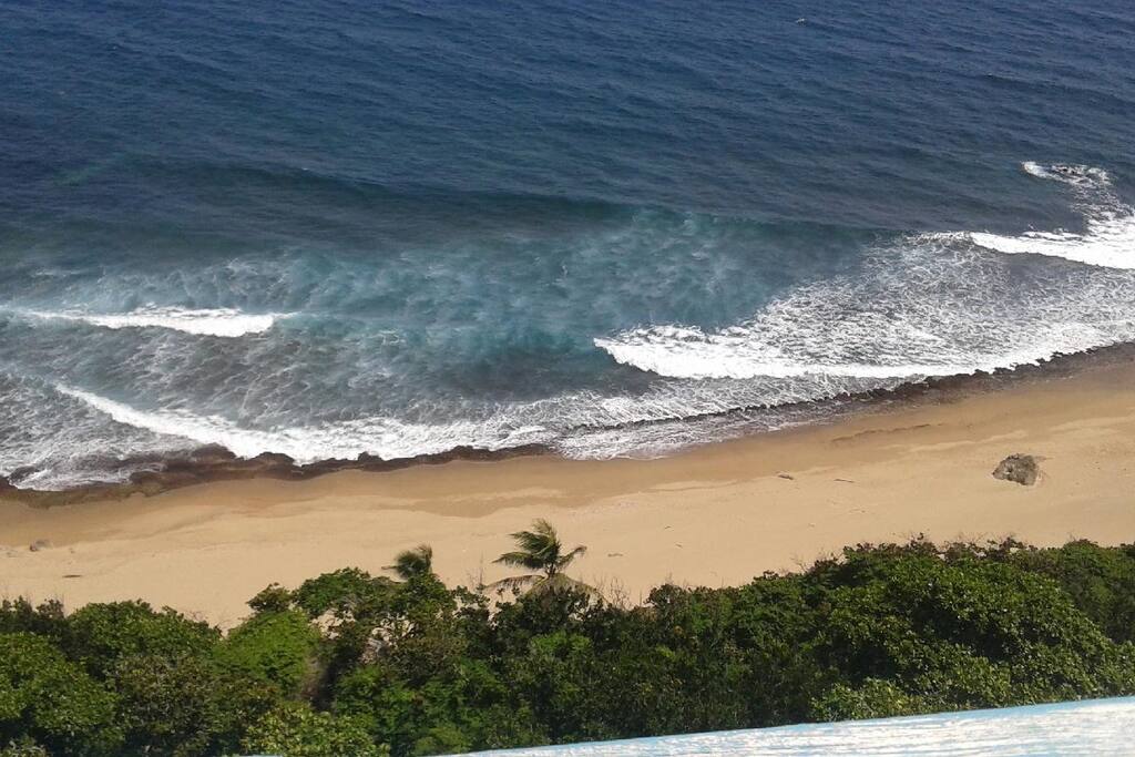 The View