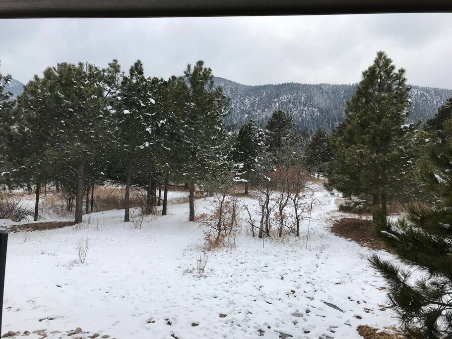 winter view from back deck
