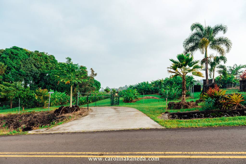 Our driveway entrance and green farm gate.
