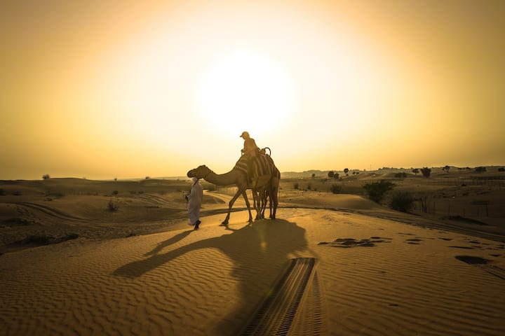 Abu Dhabi Sunset Camel Trek With Bbq Airbnb