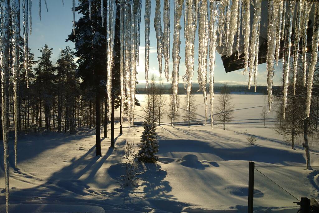 The View...