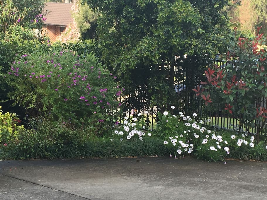 Front Garden