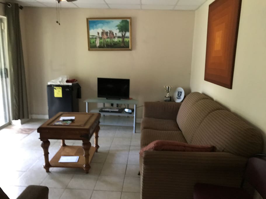 Living room television and a refrigerator