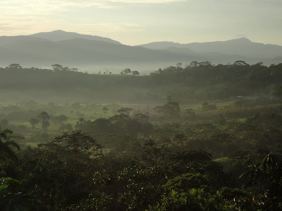La vallée à l'aube