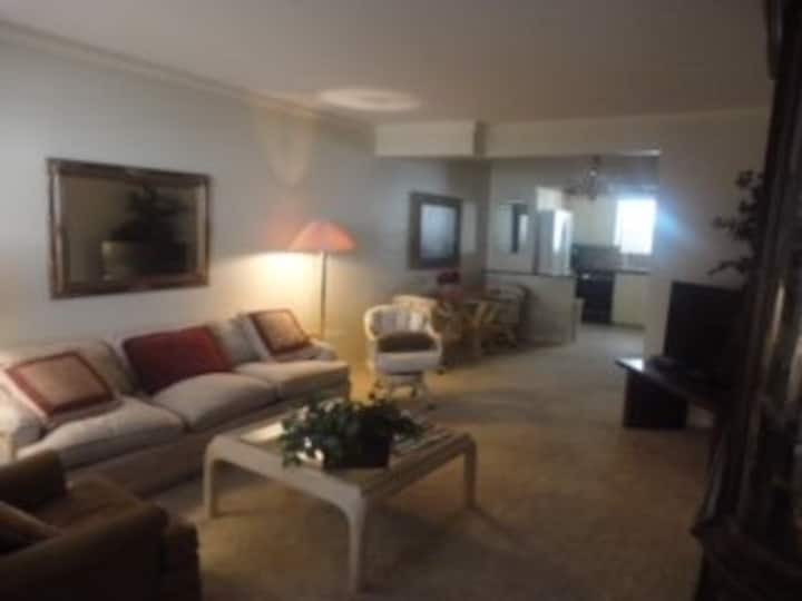 Dallas, TX Fully Furnished 1 2 condo near SMU Condominiums for Rent