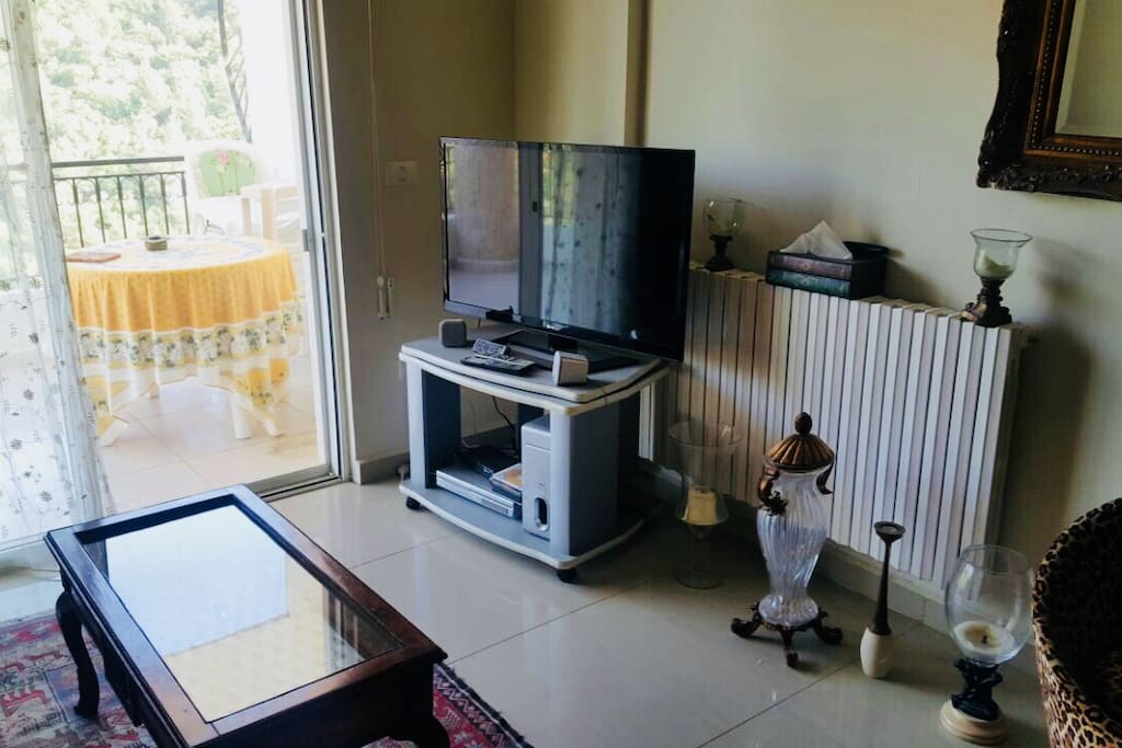 Living Room with flatscreen TV