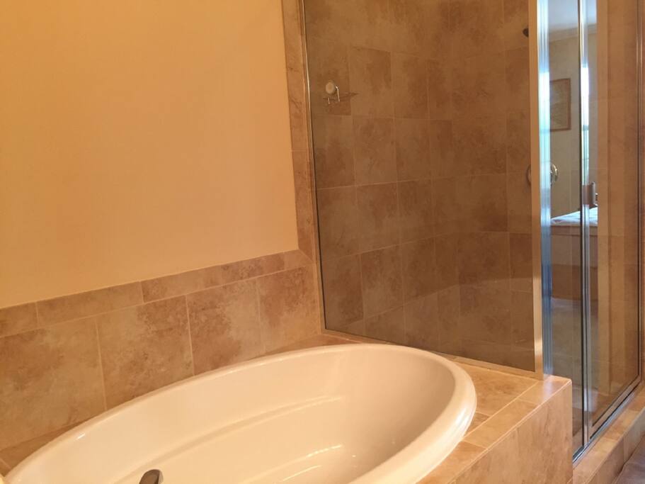 Master bathroom