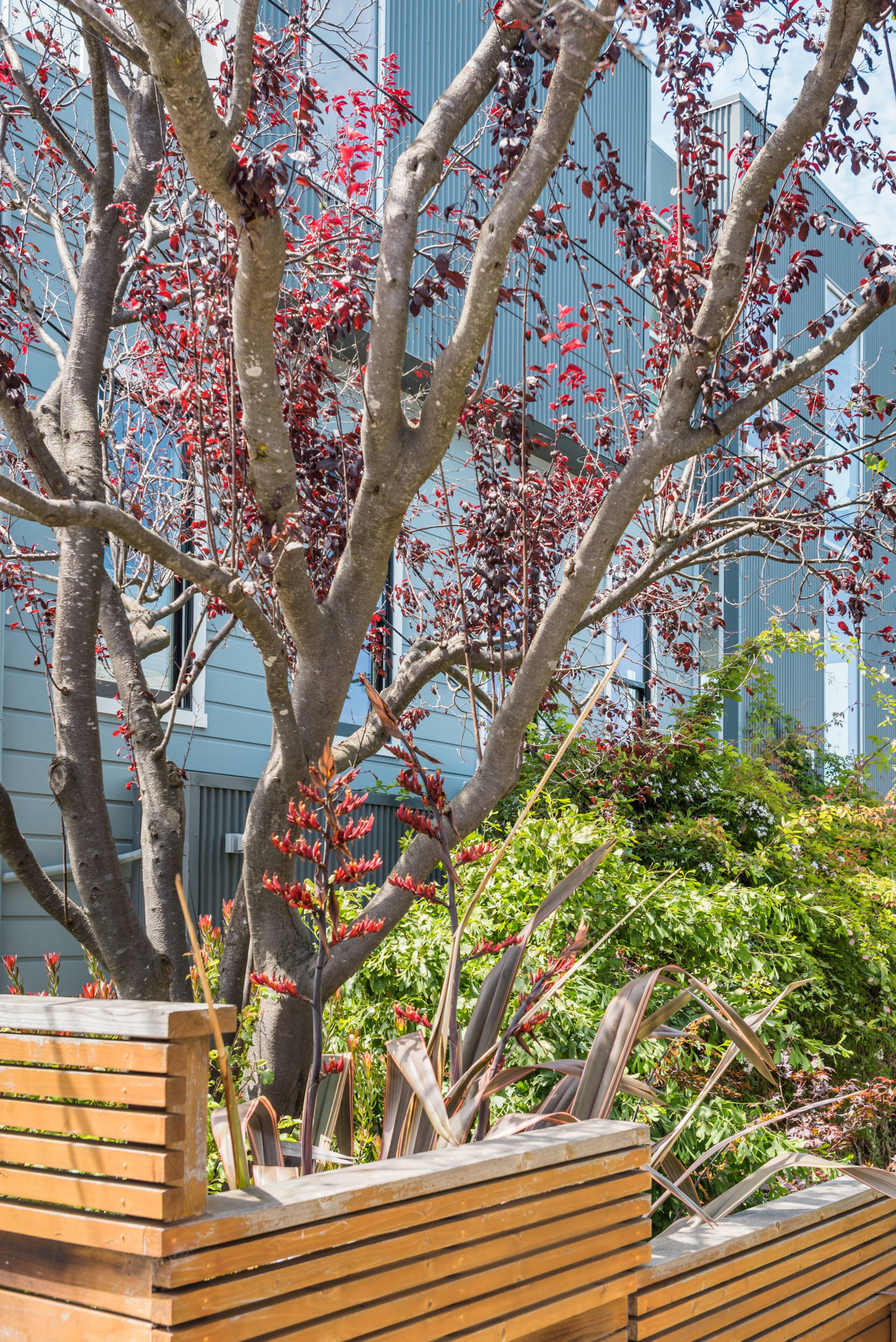 Townhouse in San Francisco · ★5.0 · 4 bedrooms · 4 beds · 3 baths - Image 64