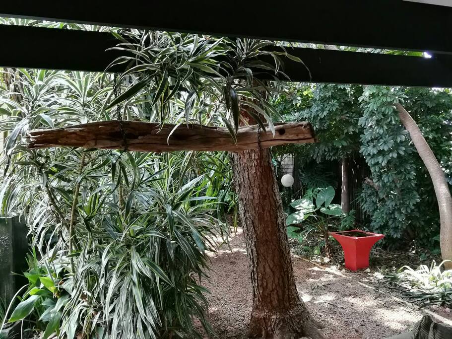 Outside Covered Braai Area