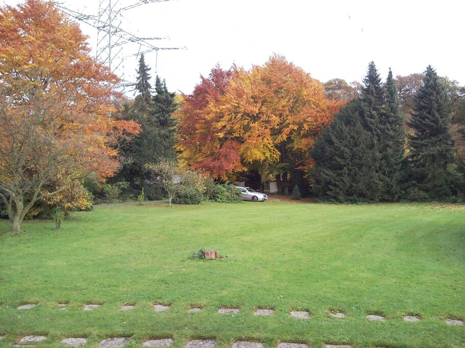 view from the living room