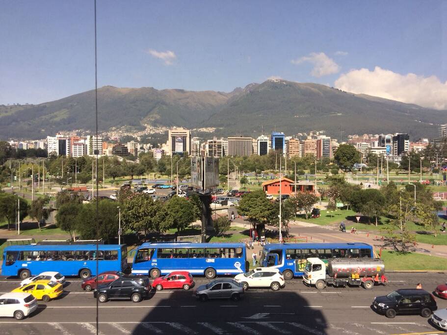 Park view
