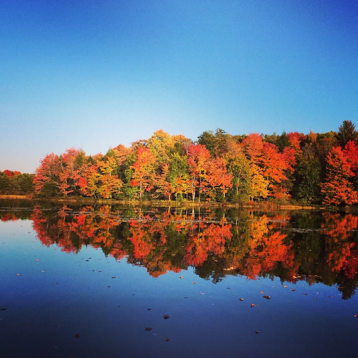 Unplug & Unwind! Cottage Lovely, Private Lake Bungalows for Rent in