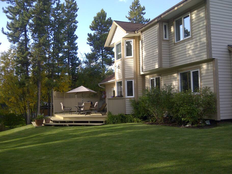 Back yard