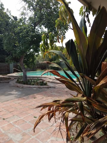 Peaceful Edinburg Home W/Private Pool