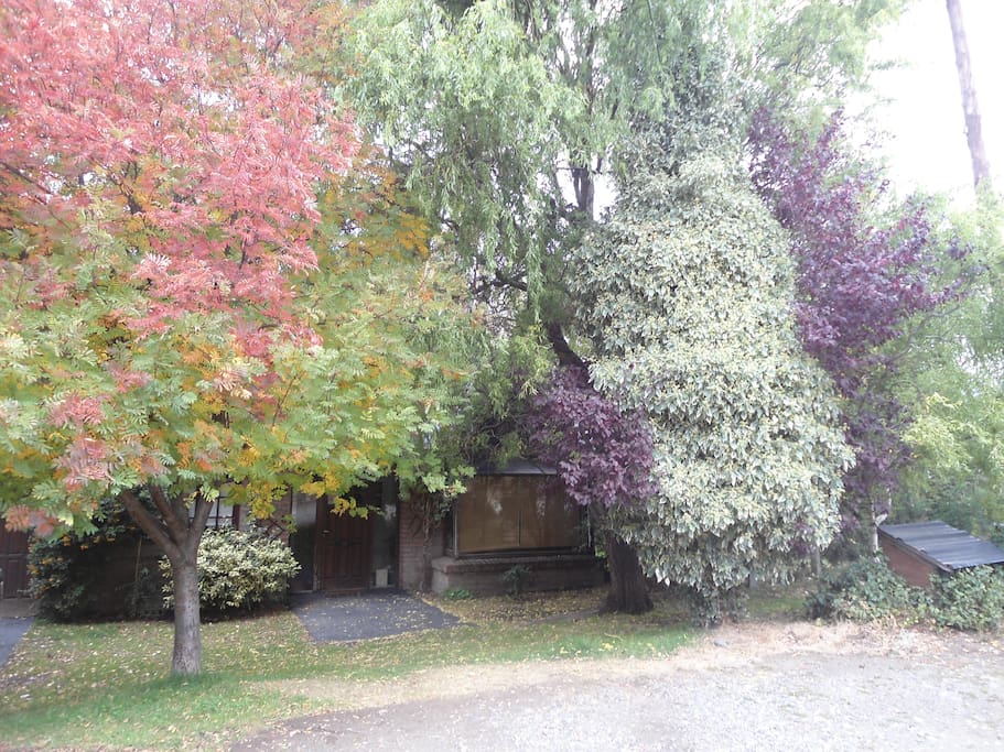 La casa se esconde tras los árboles