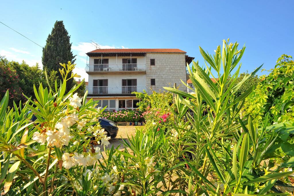 detail (house and surroundings)