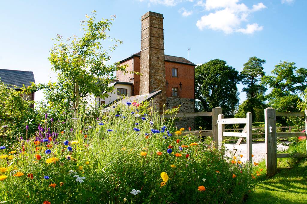 Our garden