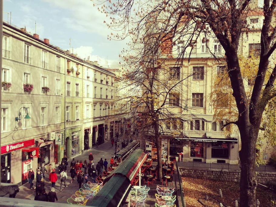 View from the window