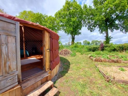 The exterior of a round yurt is visible, featuring a wooden door and steps leading to a grassy area. Lush greenery surrounds the yurt, with trees in the background and garden beds planted nearby, showcasing an inviting connection to nature.