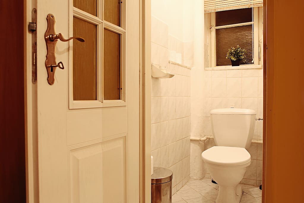 Separate toilet