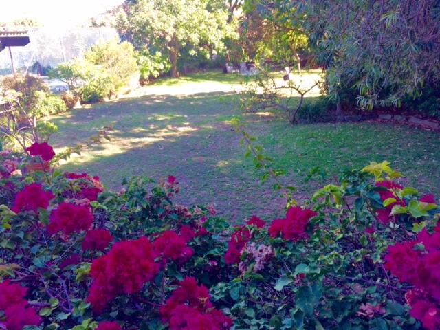 Spacious and airy Bondi Beachside Garden Apartment gallery image 4