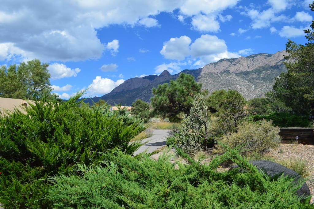 Looking East from the Entry, we're at the base of the Sandia Mountains in the "foot-hills"