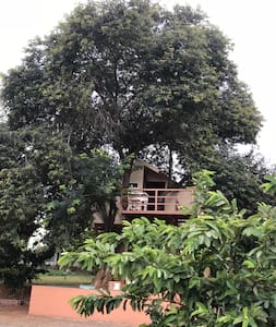 Tree House close to Bangalore