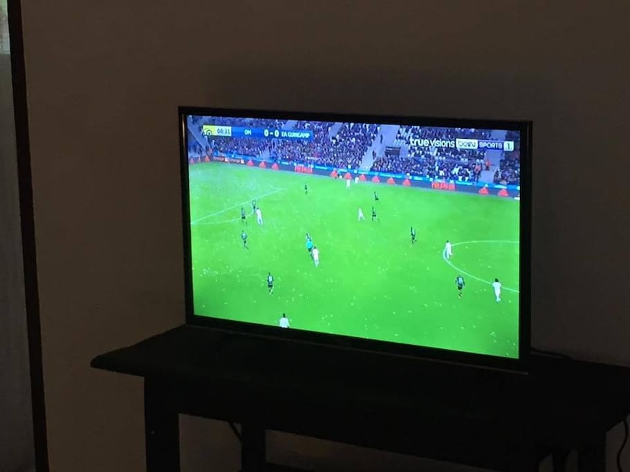 new flat screen tv with 166 cable channels, sports, movies, documentaries etc..