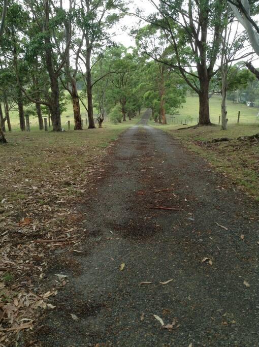 Driveway