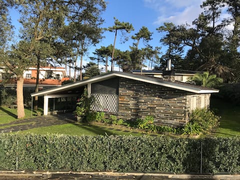 Anúncio popular: Oasis House em Vila Do Conde