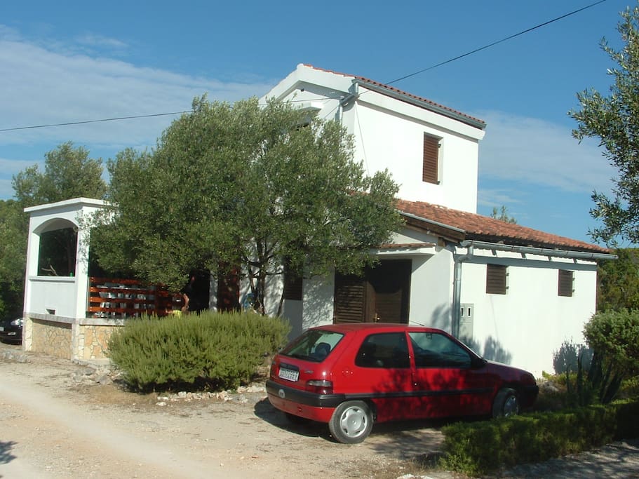 House pictured from the south side, olive tree and rosemary bush in front