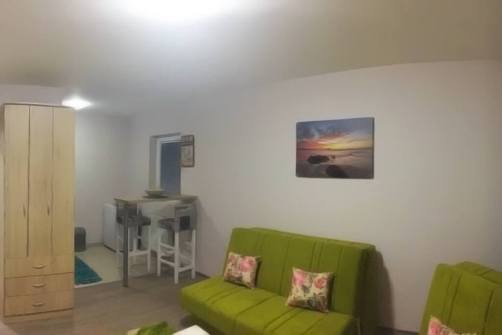 Green apartment - Irina apartments - room and kitchen
